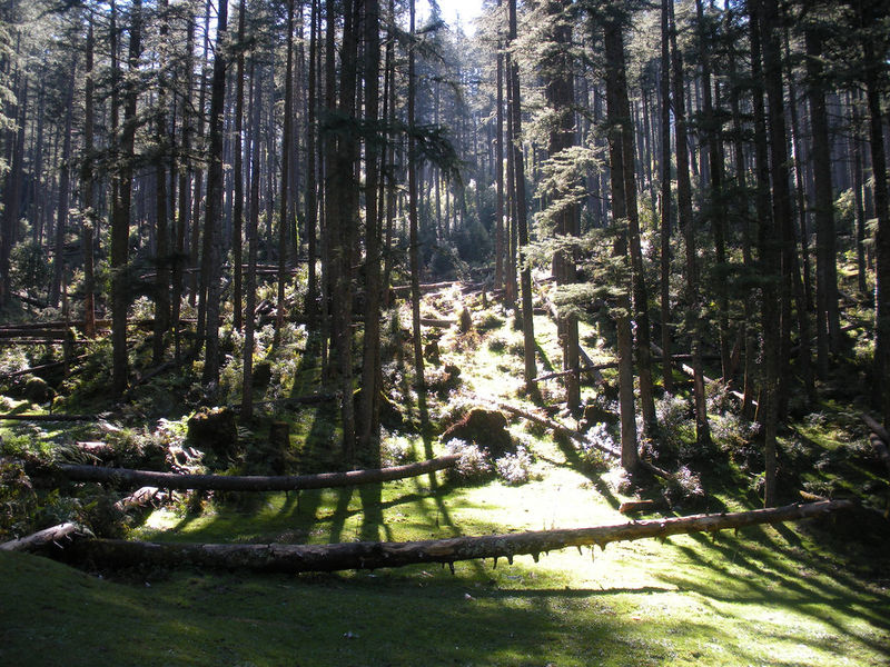 File:Khajjiar-4.jpg