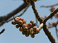 Thumbnail for version as of 16:52, 26 February 2011