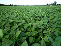 Thumbnail for version as of 06:40, 11 June 2012