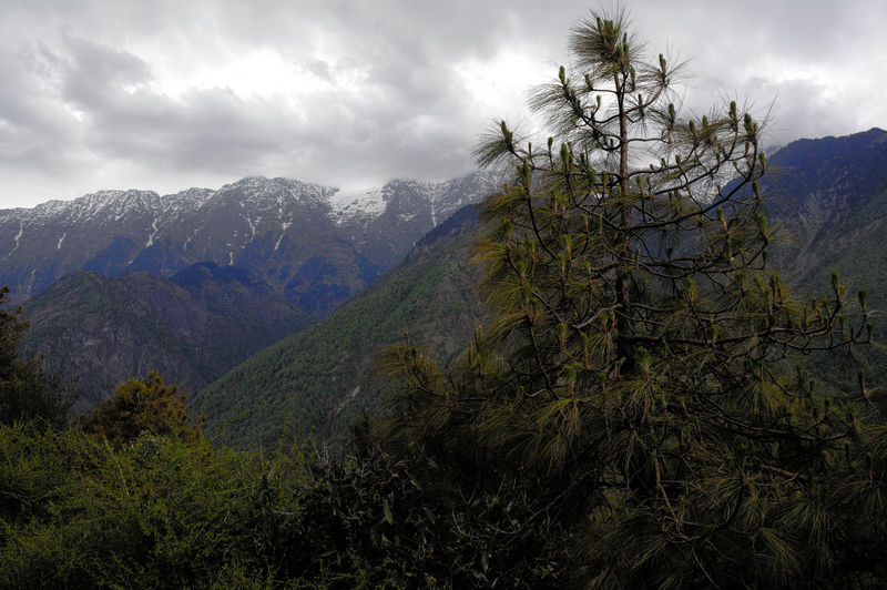File:Dharamsala-1.jpg