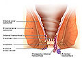 Thumbnail for version as of 15:04, 5 March 2011