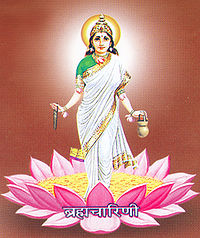 ब्रह्मचारिणी देवी