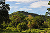 Bandipur-National-Park-1.jpg