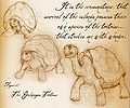 Thumbnail for version as of 13:55, 8 April 2013