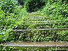 Coorg.jpg