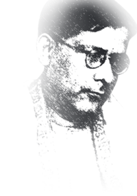 हेमचंद्र रायचौधरी