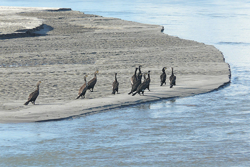 File:Brahmaputra-River-1.jpg