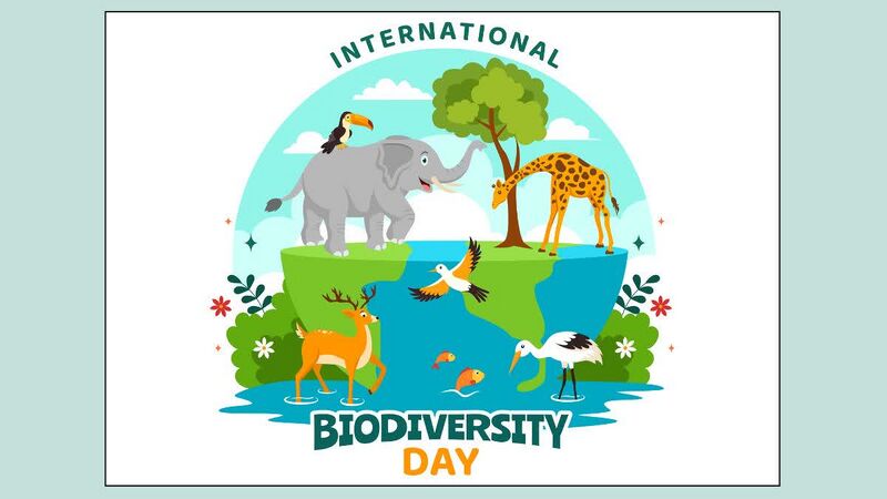 File:International Day for Biological Diversity 2.jpg