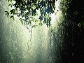 Thumbnail for version as of 07:16, 19 March 2013