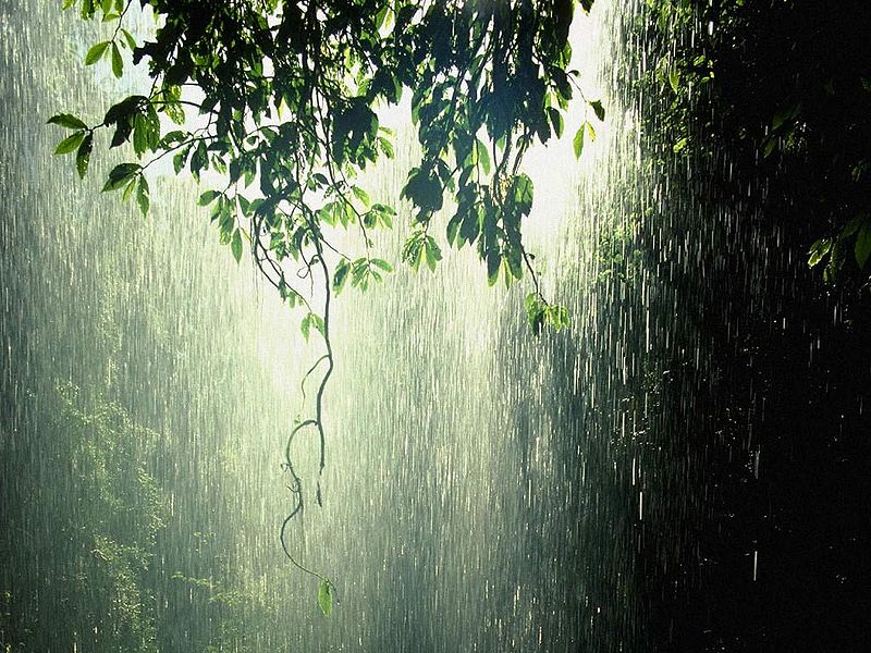 File:Rain-3.jpg