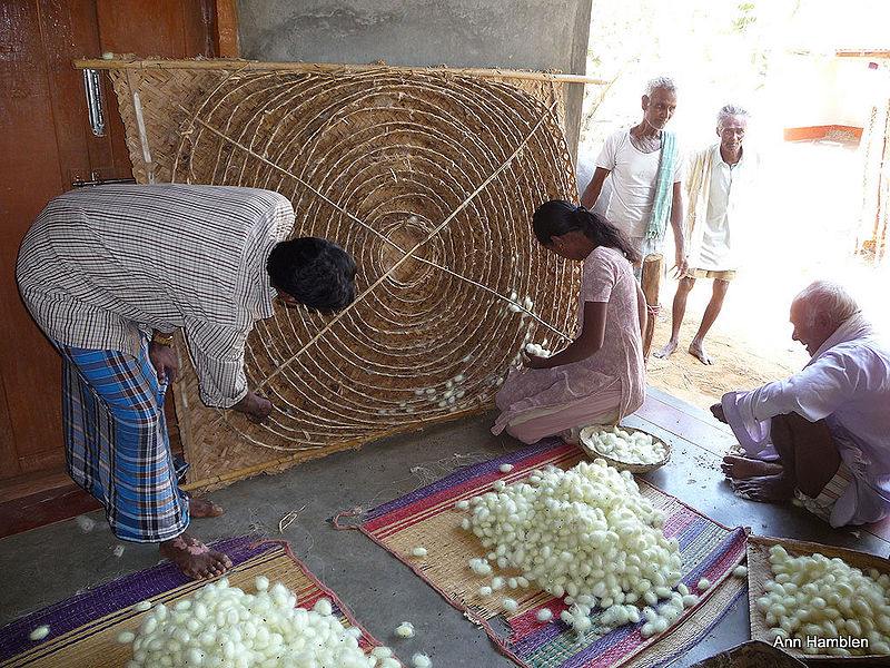 File:Silk-Manufacturing-Process-2.jpg