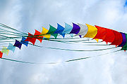 Colour-kites.jpg