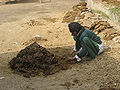 Thumbnail for version as of 13:17, 21 December 2013