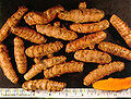 Thumbnail for version as of 19:27, 16 April 2011