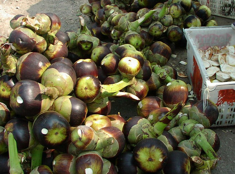 File:Borassus flebellifur-fruit.jpg