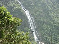 नेल्लियमपती का एक दृश्य