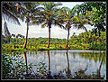 Thumbnail for version as of 10:12, 30 July 2010
