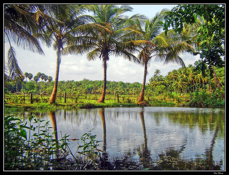 File:Kerala.jpg