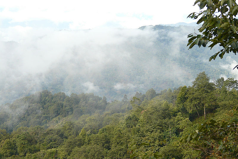 File:Tezpur-Assam.jpg