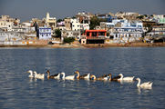 Pushkar-lake-Ajmer-3.jpg