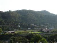 बागेश्वर