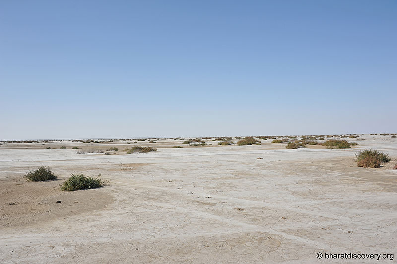 File:Rann-Of-Kachchh-2.jpg