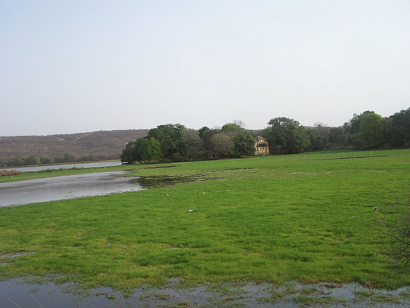 File:Ranthambore-National-Park-1.jpg
