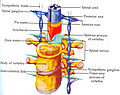 Thumbnail for version as of 10:45, 12 February 2011