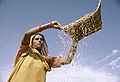 Thumbnail for version as of 06:13, 2 September 2010