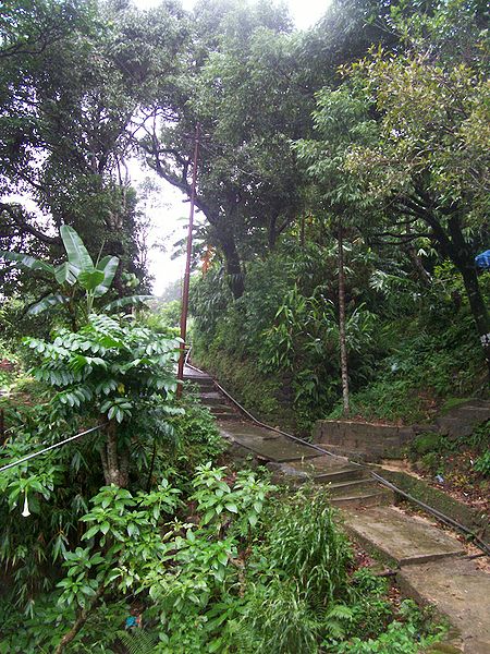 File:Cherrapunjee-Village-Meghalaya.jpg
