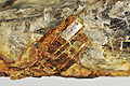 Thumbnail for version as of 12:47, 29 April 2012