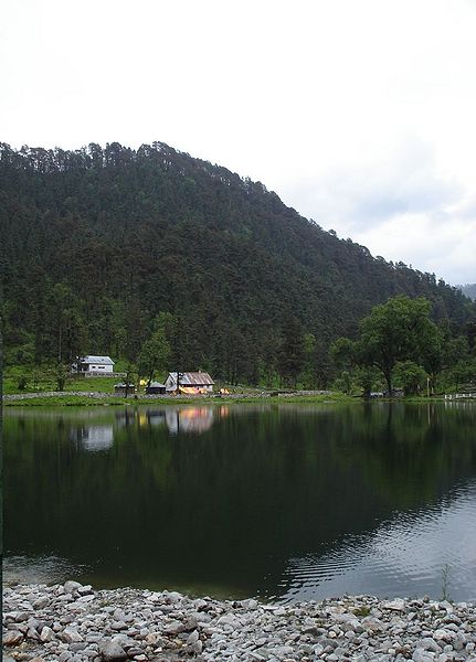 File:Dodi-Tal.jpg