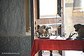 Thumbnail for version as of 11:18, 18 February 2011