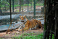 Thumbnail for version as of 06:35, 30 September 2011