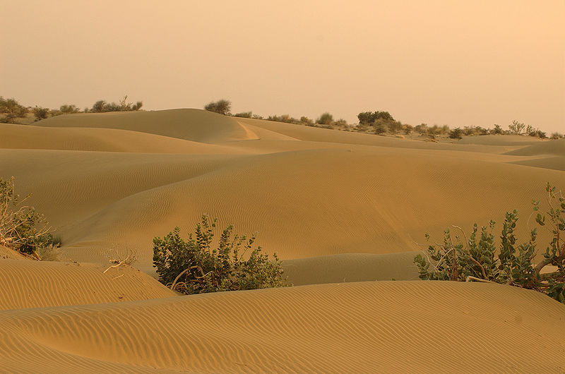 File:Thar desert.jpg