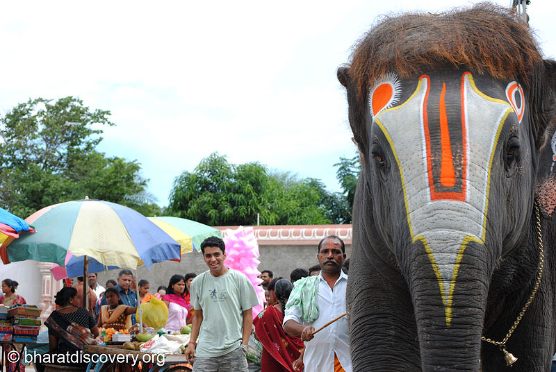 File:Elephant-7.jpg