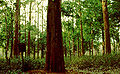 Thumbnail for version as of 13:26, 25 June 2014