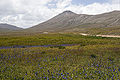 Thumbnail for version as of 10:42, 12 July 2012