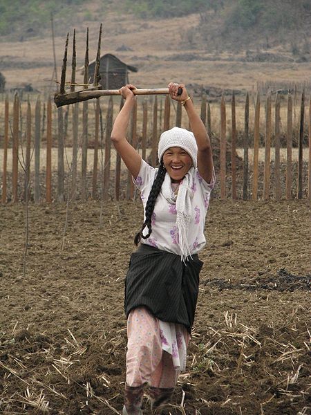 File:Agriculture-Arunachal-Pradesh.jpg