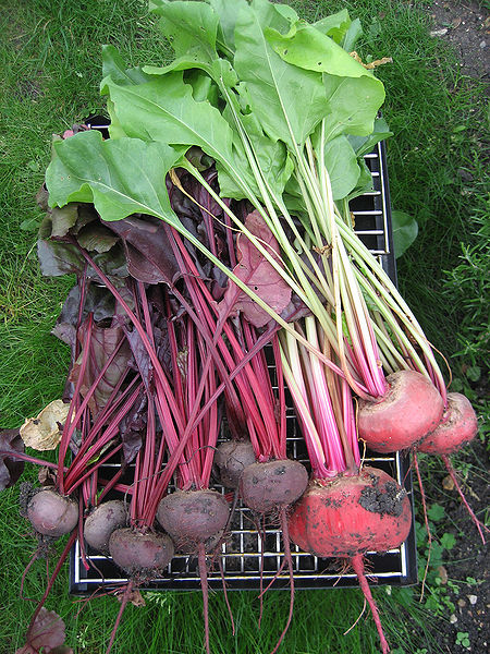 File:Beetroot.jpg