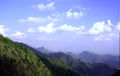 धनौल्टी