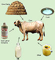 Thumbnail for version as of 21:06, 26 October 2011