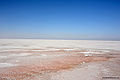 Thumbnail for version as of 12:20, 11 March 2011