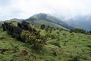 Madikeri.jpg