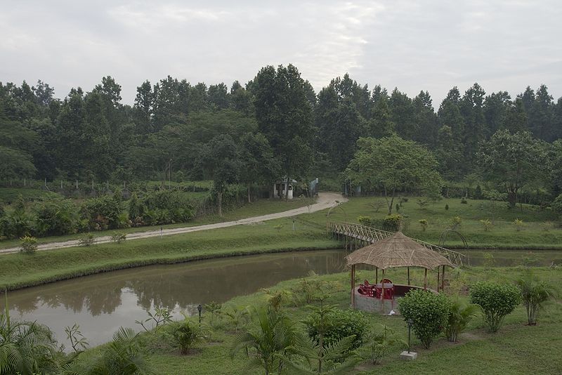 File:Gorumara-National-Park.jpg