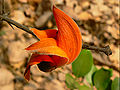 Thumbnail for version as of 09:49, 31 May 2013