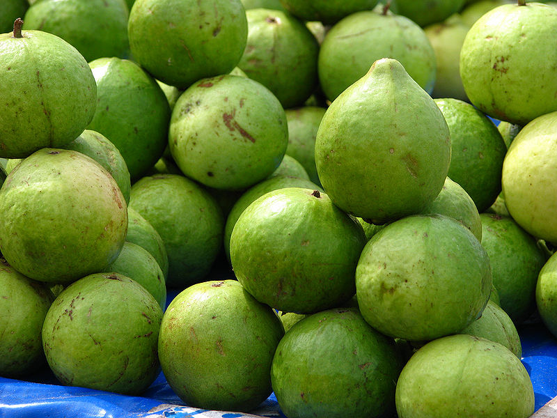 File:Guava-1.jpg