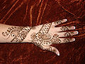 Thumbnail for version as of 11:00, 27 January 2012