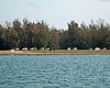 Chilika-Lake.jpg