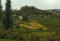 Thumbnail for version as of 07:08, 30 January 2012
